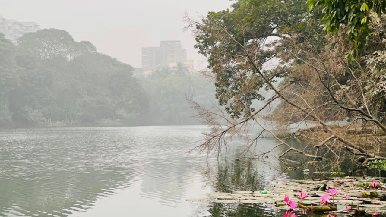 শীতে রোগবালাই বাড়ছে, সুস্থ থাকতে কি করবেন?